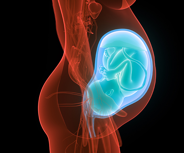 Understanding Human Placental Biology NICHD Eunice Kennedy Shriver